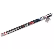 Пленка тонировочная ARNEZI A0803014 0,75 м x3 м Charcoal 30%