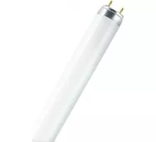 Лампа люминесцентная Osram T8 BASIC линейная l 36w/640 25x1 fed 4008321959713