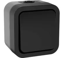 Выключатель IEK TORS 1-кл. ОП 2п 10А IP55 TS111 графит TS-V16-0-10-55-K53