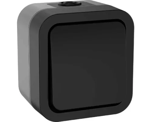Выключатель IEK TORS 1-кл. ОП 2п 10А IP55 TS111 графит TS-V16-0-10-55-K53 Выключатель IEK TORS 1-кл. ОП 2п 10А IP55 TS111 графит TS-V16-0-10-55-K53