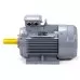 Электродвигатель ESQ PR 200 L4 GST-Б1-S12-IE2 IM 1001 45/1500 01.01.223791