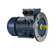 Электродвигатель 5Аи 90 L2 3/3000 IM 2081 01.01.213552