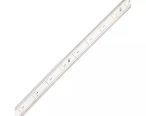Лента светодиодная Neon-Night 142-603 ( 100 метров ) 220B, SMD2835, 4,8Bт/м, 60 LED/м, синий, 10х7мм 142-603
