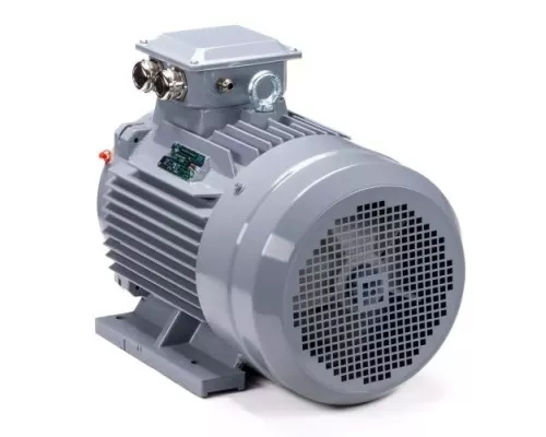 Электродвигатель ESQ PR 200 L4 GST-Б1-S12-IE2 IM 1001 45/1500 01.01.223791 Электродвигатель ESQ PR 200 L4 GST-Б1-S12-IE2 IM 1001 45/1500 01.01.223791