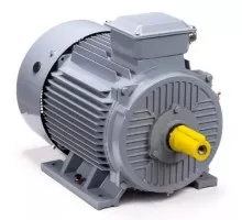 Электродвигатель ESQ PR 180 M4 GST-Б1-S12-IE2 IM 1001 30/1500 01.01.223786