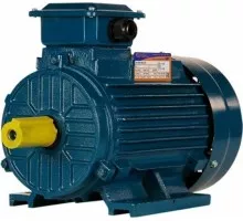 Электродвигатель 5Аи 100 L2 5.5/3000 IM 1081 01.01.213567