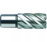 Сверло по металлу корончатое D.BOR (3/4''), HSS 17х55 мм с хв. weldon 19 мм D-CD-HSS-055-017-W