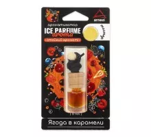 Ароматизатор ARNEZI A1509110 подвесной, Ягода в карамели, 5 мл
